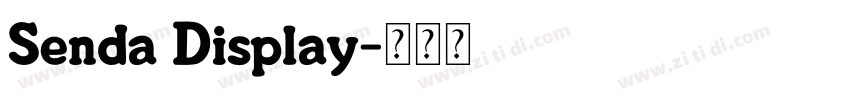 Senda Display字体转换